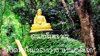 รวมดนตรีเพราะๆ เปิดฟังในเวลาว่าง งานอดิเรก