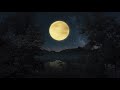 Night Ambient Sounds│3 Hours│Cricket, Swamp Sounds at Night│Finally you will fall asleep