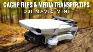 Download Lagu DJI Mavic Mini | Best Way To Transfer HD Videos To You Phone Or Tablet MP3