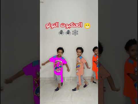 العنكبوت النونو 