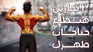 أقوي ٣ تمارين للظهر🔥 هيطلعولك جناحات🦅