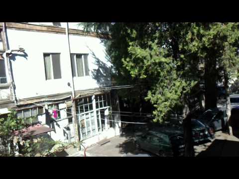 typical yard-ტიპიური ეზო