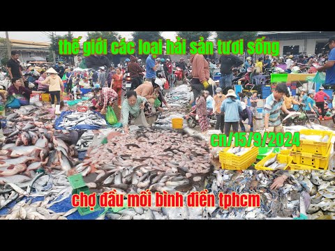 thiên đường hải sản tươi sống giá siêu rẻ chợ đầu mối bình điền