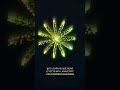 ✨ Beautiful Floral Curve Animation with Mouse Move | HTML CSS JavaScript #shorts #shortsvideo