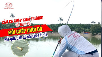 Câu cá chép khai trương hồ dịch vụ - Mồi Chép Đuôi Đỏ - Kết quả câu sẽ nói lên tất cả