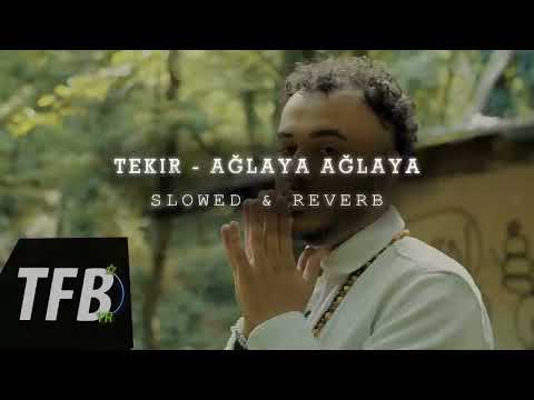 TEKİR - AĞLAYA AĞLAYA ( SLOWED \u0026 REVERB )