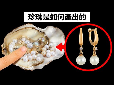 视频: 牡蛎中的珍珠稀有吗？