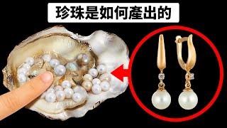 牡蠣產出珍珠的原因和過程