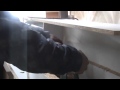 Router Lathe Playing Freehand BIG STICK Router Lathe Playing Freehand BIG STICK