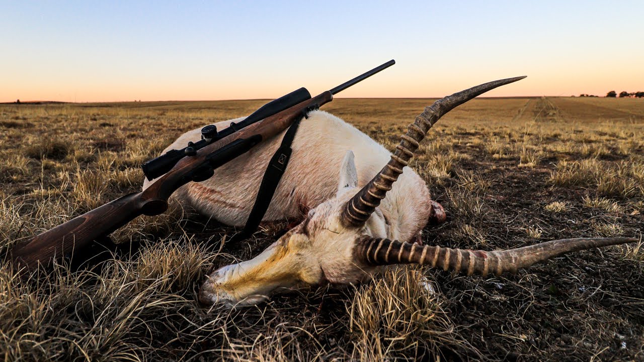 best solo hunting trips