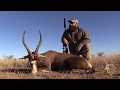 Common Blesbuck hunt | GTA SAFARIS
