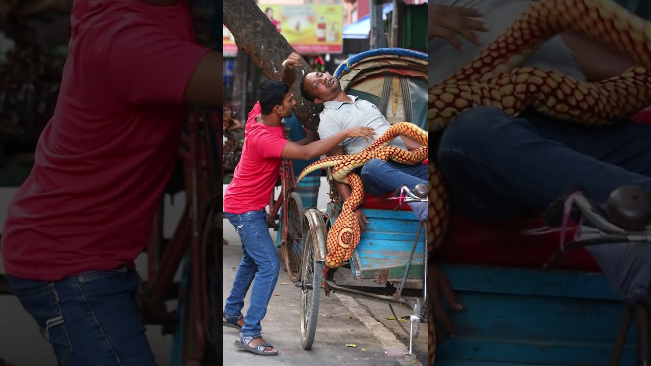 KING COBRA SNAKE PRANK ON PUBLIC Part 42 EMTIAZ BHUYAN Shorts