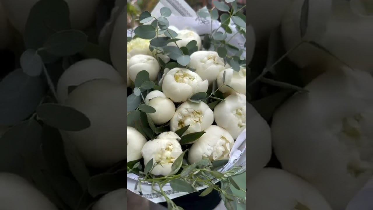 White peonies bouquet