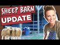 SIMPLE Sheep Barn Ideas // Updating our Barn for Sheep + (Greedy) Cows!😁