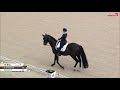 Therese Nilshagen mit Dante Weltino OLD - Grand Prix Kür Aachen 2019