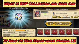 HOW to SAVE FROGGIES🐸 (Synth Cards) when Maxing 2024 LB?😲👌 - Borutage Tips & Advice: EXP Collection