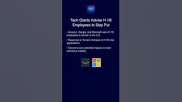 Tech Giants Advise H-1B Employees to Stay Put