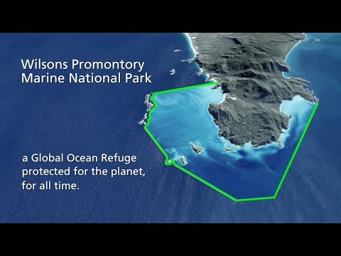 Wilsons Prom Fishing Map Whisky Beach, Wilsons Promontory National Park | Destimap | Destinations On  Map