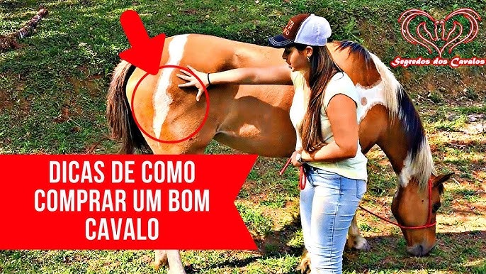 Capim que pode matar cavalos #araguaina 