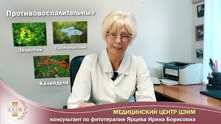 Травы при цистите