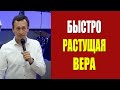 Дмитрий Лео. Быстро растущая вера