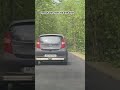 आराम से देखो रोड cross krega # tiger road crossing #jimcorbett