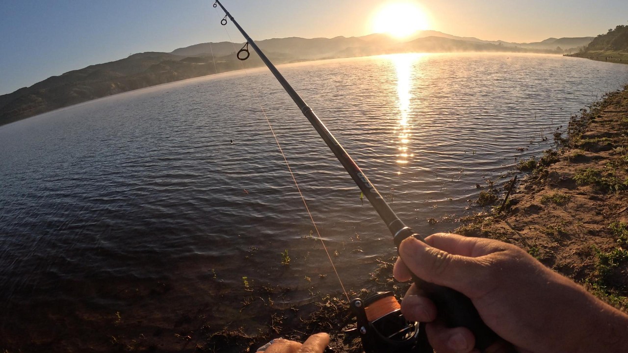 02/07/26 IRVINE LAKE & LAGUNA NIGUEL TROUT STOCK