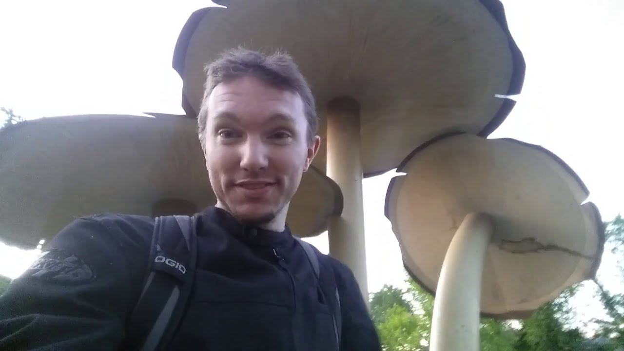 World s Largest Mushroom In Vilna Alberta YouTube world-s-largest-mushroom-in-vilna-alberta-youtube