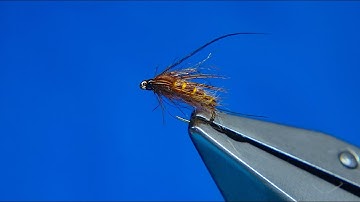 Tying a Brown and Tan Caddis Pupa with Davie McPhail