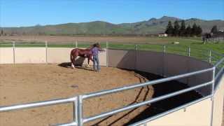 Helping a horse with tight space issues