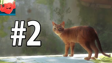 Stray Walkthrough Gameplay Part 2 - The Slums Part 1/2 (All notebooks, Super Sprint, Electric Cable)