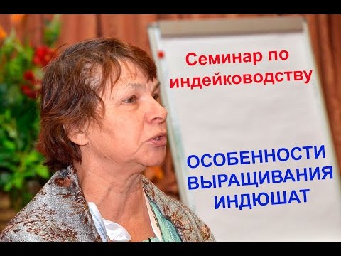 Особенности выращивания индюшат в первый период. Третьякова Л.А.