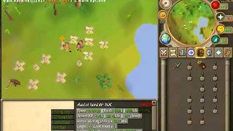 AutoFighter.org AutoHunter NX RuneScape Bot