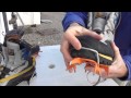 Fitting Petzl Leverlock Crampons to Climbing Boots