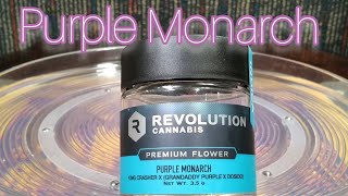 REVOLUTION Purple Monarch