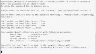 eDirectory configuration
