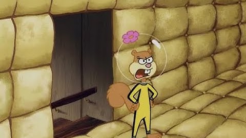 SpongeBob SquarePants episode Karate Island aired on January 3, 2006