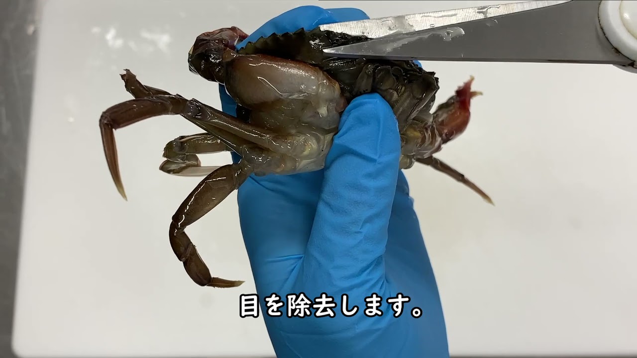 ソフトシェルクラブホールクリーン説明動画