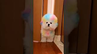 Getting Ready with My Mommy! 🐶💕