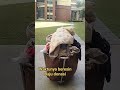 Baju donasi siswa yg akan di sumbangkan ke negara lain yg membutuhkan#keseharianku #tkimacau