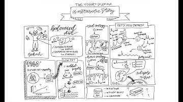 The Yogurt Dilemma: A Metabolic Story
