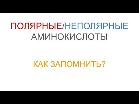 Как запомнить полярные и неполярные аминокислоты