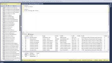 MS SQL tutorial covering working with multiple databases. Including schema introduction and USE.