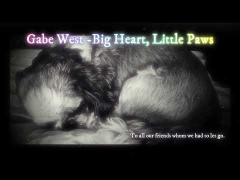 Gabe West - Big Heart, Little Paws Country Rock