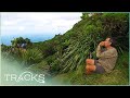 Exploring Lord Howe Island: What Lies Between Australia And New Zealand | TRACKS