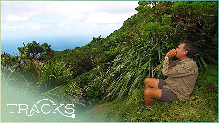Exploring Lord Howe Island: What Lies Between Aust...
