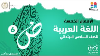 الأفعال الخمسة | الصف السادس الابتدائي | اللغة العربية