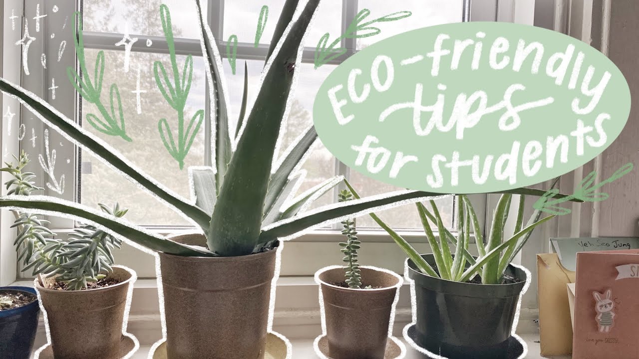 eco-friendly tips for students