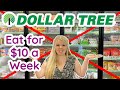 Eat for $10 a Week From Dollar Tree | No Freezer Section - Shelf Foods Only