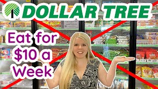 Eat for $10 a Week From Dollar Tree | No Freezer Section - Shelf Foods Only